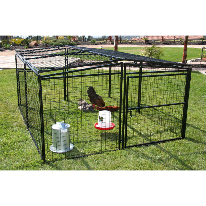 Archie & Oscar™ Francesca Welded Wire Dog Pen/Chicken Coop & Reviews